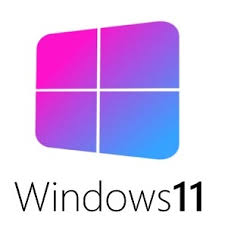Windows 11 Pro