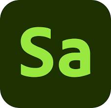 Adobe Substance 3D Painter 9.1.1.3077+